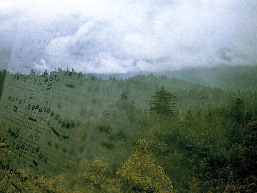 Art 1
