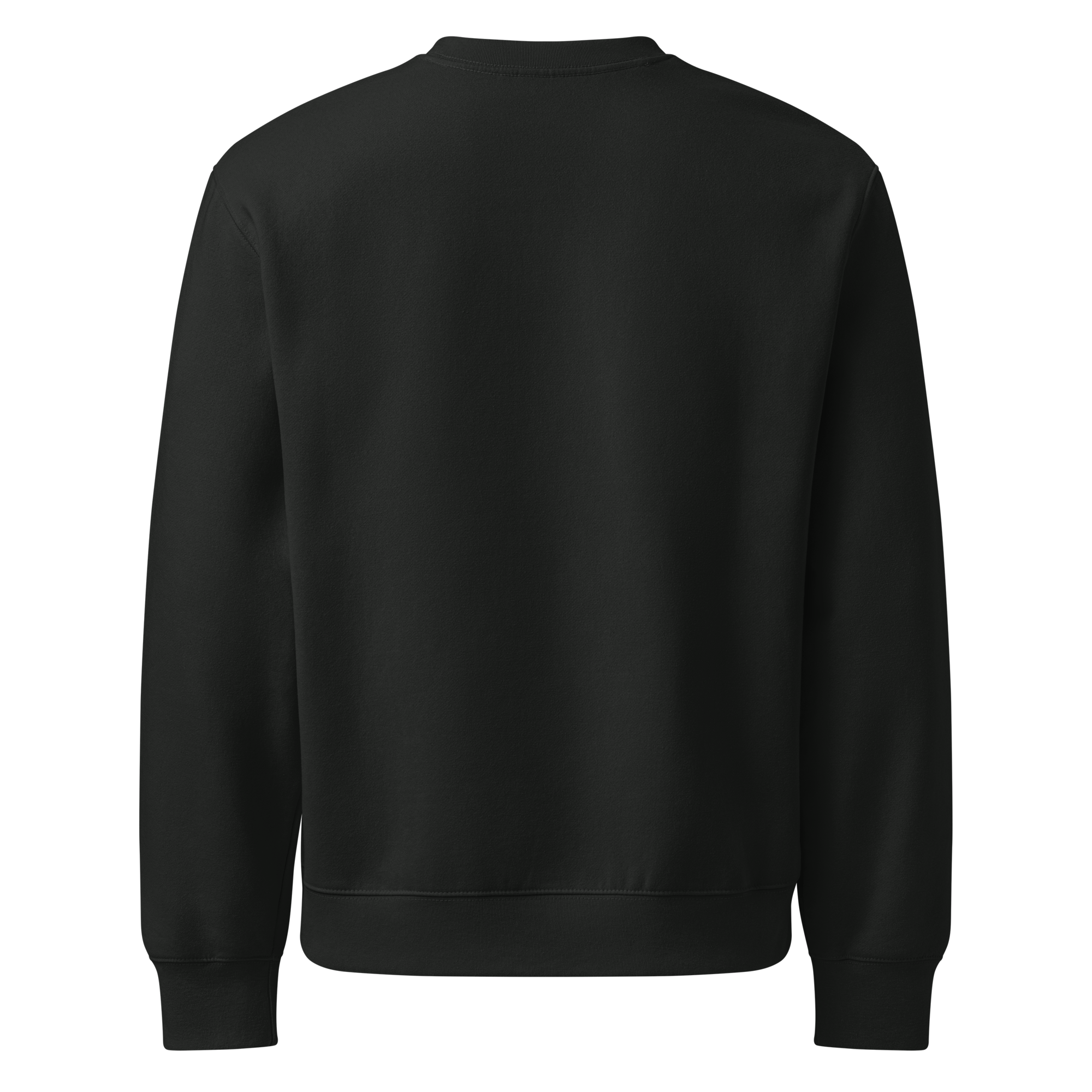 FATE Heavyweight Oversized Sweatshirt